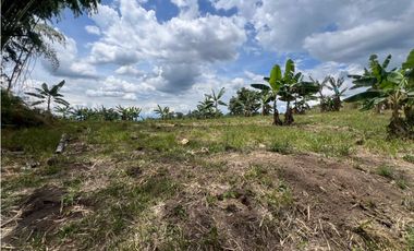 FINCA EN QUIMBAYA SE VENDE