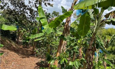 FINCA EN QUIMBAYA SE VENDE