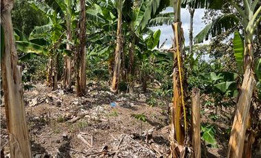 FINCA EN QUIMBAYA SE VENDE