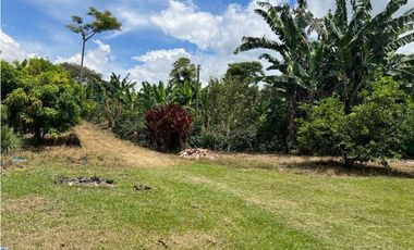 FINCA EN QUIMBAYA SE VENDE