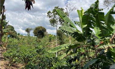 FINCA EN QUIMBAYA SE VENDE