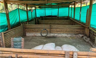 FINCA EN QUIMBAYA SE VENDE