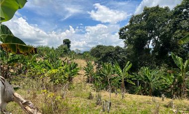 FINCA EN QUIMBAYA SE VENDE