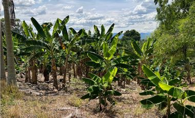 FINCA EN QUIMBAYA SE VENDE