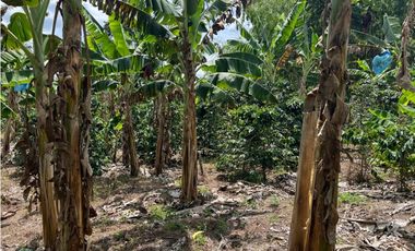 FINCA EN QUIMBAYA SE VENDE