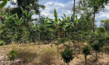 FINCA EN QUIMBAYA SE VENDE