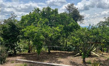 FINCA EN QUIMBAYA SE VENDE