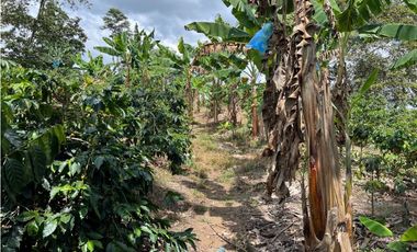 FINCA EN QUIMBAYA SE VENDE