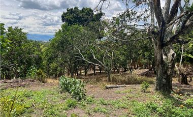 FINCA EN QUIMBAYA SE VENDE