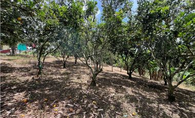 FINCA EN QUIMBAYA SE VENDE