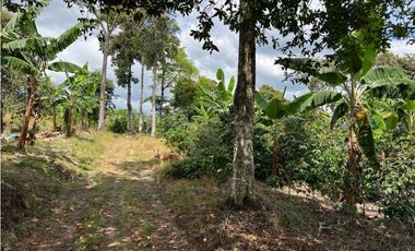 FINCA EN QUIMBAYA SE VENDE