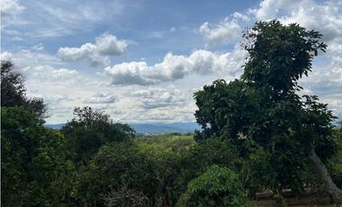 FINCA EN QUIMBAYA SE VENDE