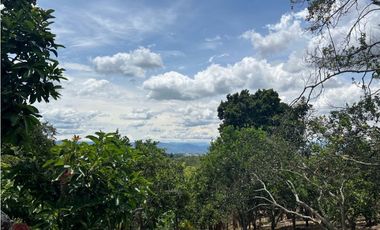 FINCA EN QUIMBAYA SE VENDE