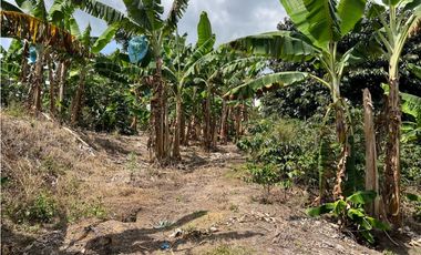 FINCA EN QUIMBAYA SE VENDE