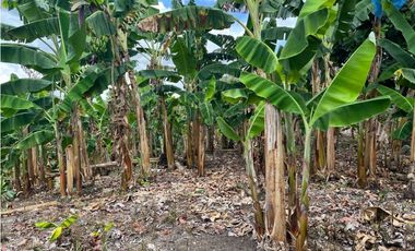 FINCA EN QUIMBAYA SE VENDE