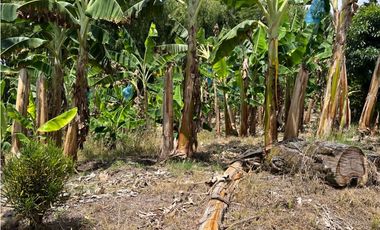 FINCA EN QUIMBAYA SE VENDE