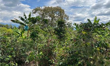 FINCA EN QUIMBAYA SE VENDE