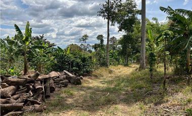 FINCA EN QUIMBAYA SE VENDE