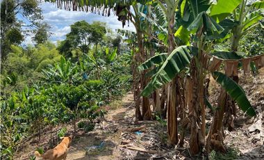 FINCA EN QUIMBAYA SE VENDE