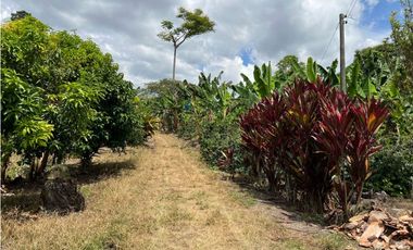 FINCA EN QUIMBAYA SE VENDE