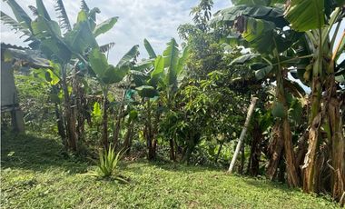 CASA CAMPESTRE EN QUIMBAYA