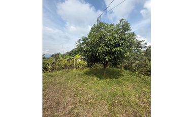CASA CAMPESTRE EN QUIMBAYA