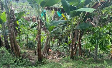 CASA CAMPESTRE EN QUIMBAYA