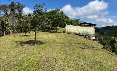 VENDO HERMOSA FINCA EN FILANDIA