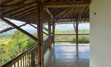 VENDO HERMOSA FINCA EN FILANDIA