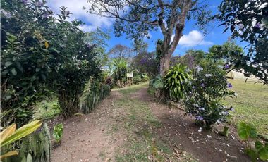 VENDO HERMOSA FINCA EN FILANDIA