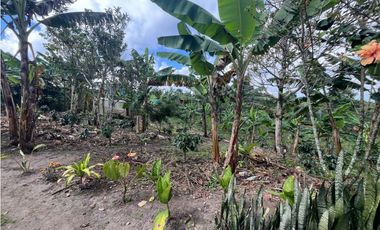 VENDO HERMOSA FINCA EN FILANDIA