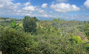 VENDO HERMOSA FINCA EN FILANDIA