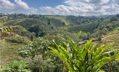 VENDO HERMOSA FINCA EN FILANDIA