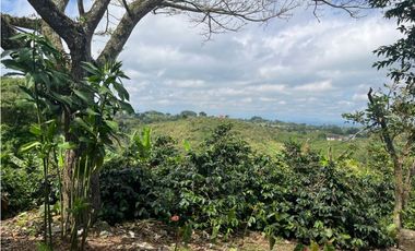 VENDO HERMOSA FINCA EN FILANDIA