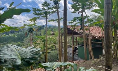 VENDO HERMOSA FINCA EN FILANDIA