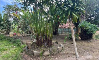 VENDO HERMOSA FINCA EN FILANDIA