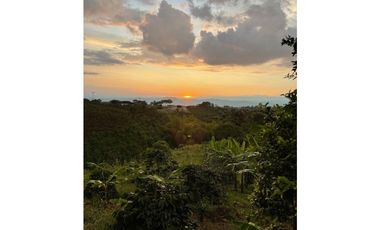 VENDO HERMOSA FINCA EN FILANDIA