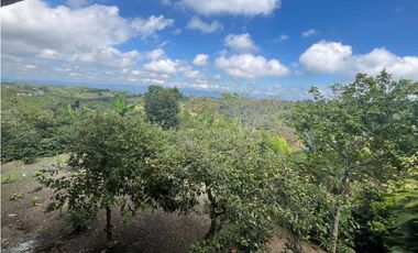 VENDO HERMOSA FINCA EN FILANDIA