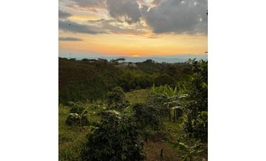 VENDO HERMOSA FINCA EN FILANDIA