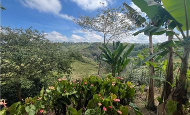 VENDO HERMOSA FINCA EN FILANDIA