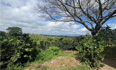 VENDO HERMOSA FINCA EN FILANDIA