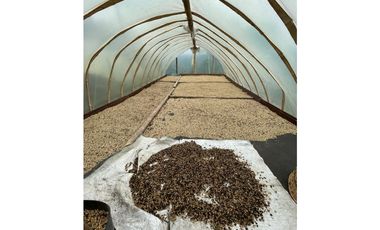 VENDO HERMOSA FINCA EN FILANDIA