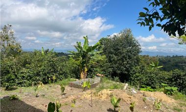 VENDO HERMOSA FINCA EN FILANDIA