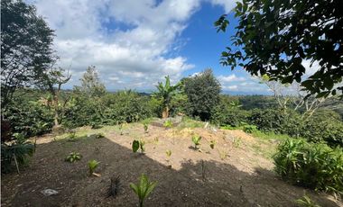 VENDO HERMOSA FINCA EN FILANDIA