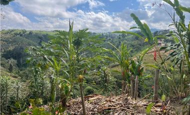 VENDO HERMOSA FINCA EN FILANDIA