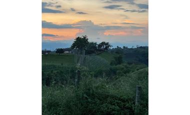 VENDO HERMOSA FINCA EN FILANDIA