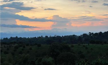 VENDO HERMOSA FINCA EN FILANDIA