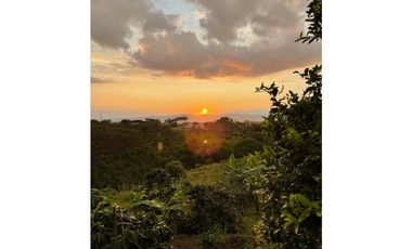 VENDO HERMOSA FINCA EN FILANDIA