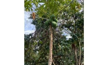 Venta de lote en la Mesa Cundinamarca