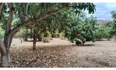 Venta de lote en la Mesa Cundinamarca